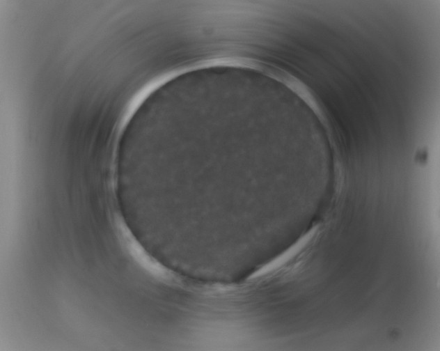 X0000113851148200910151205