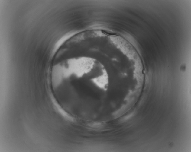 X0000113851149200910151205