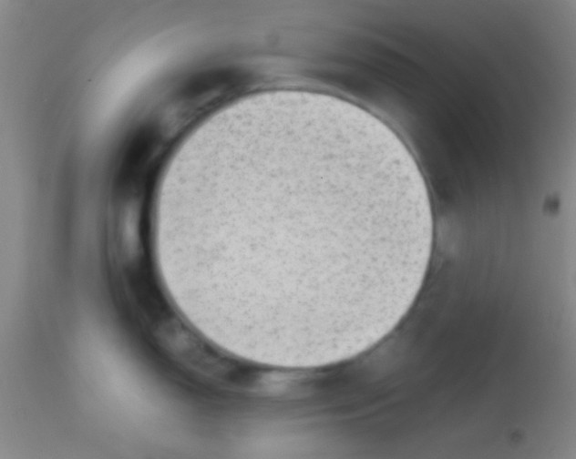 X0000113851150200910151206