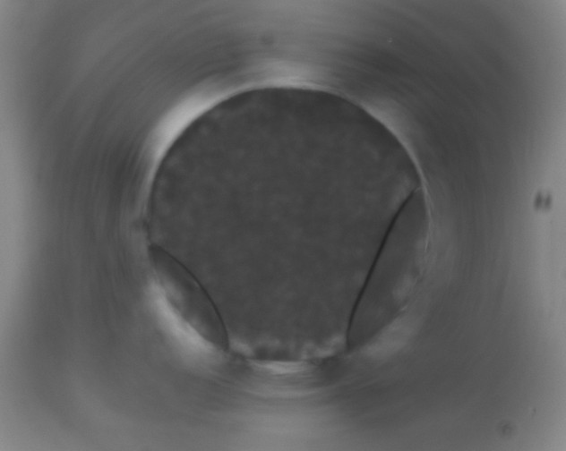 X0000113851152200910151206