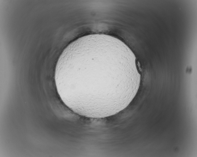 X0000113851153200910151205