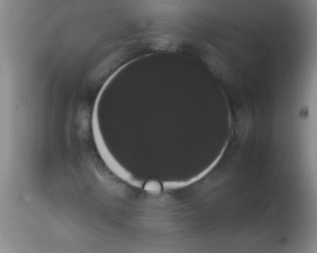 X0000113851154200910151205