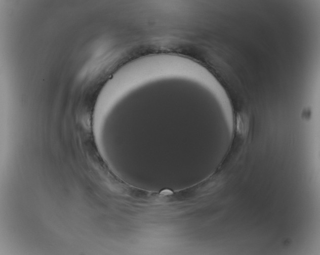 X0000113851155200910151205