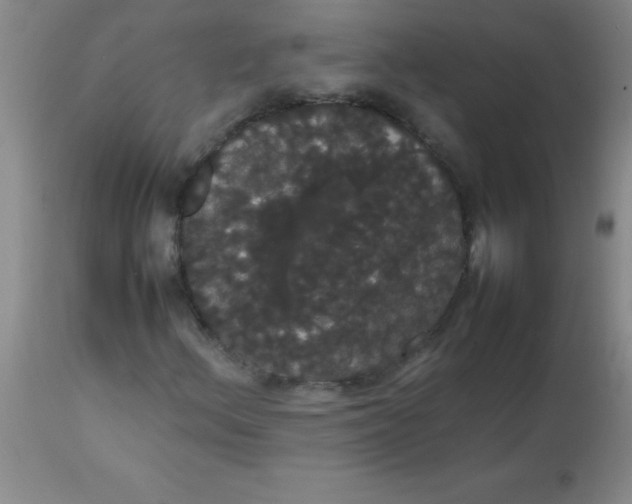 X0000113851156200910151205