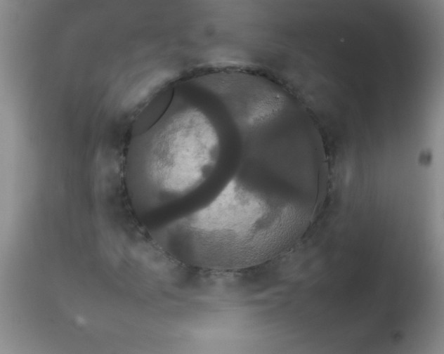 X0000113851157200910151205