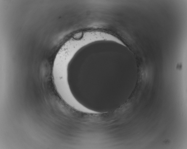 X0000113851158200910151205