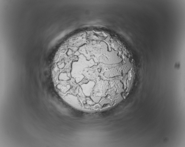 X0000113851159200910151205