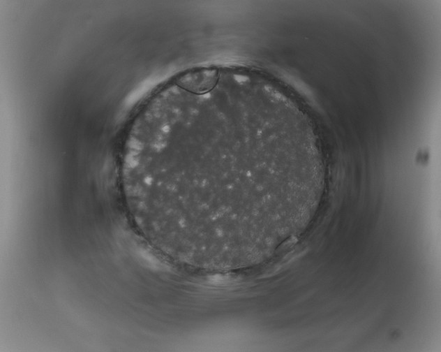 X0000113851160200910151205