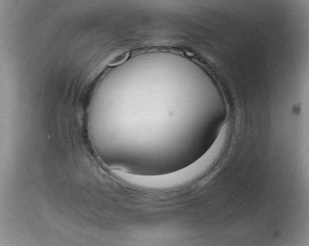 X0000113851161200910151205