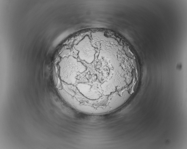 X0000113851163200910151205