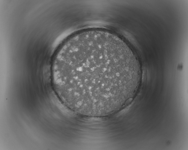 X0000113851164200910151205