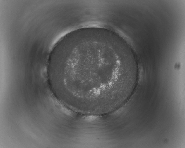 X0000113851166200910151205