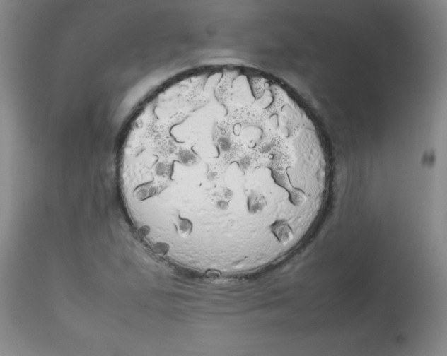 X0000113851167200910151205