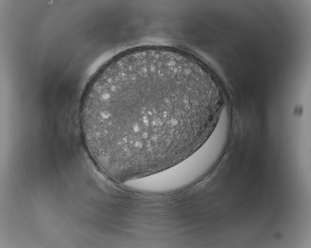 X0000113851168200910151204