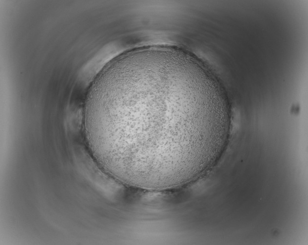 X0000113851169200910151204