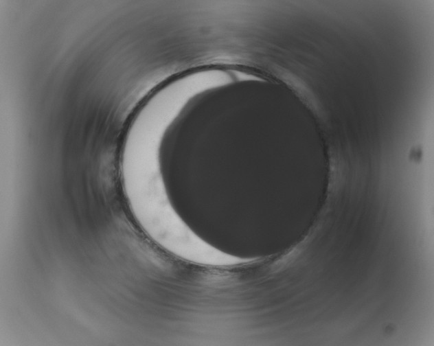 X0000113851170200910151204