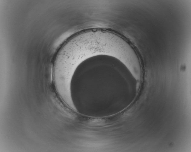 X0000113851171200910151204