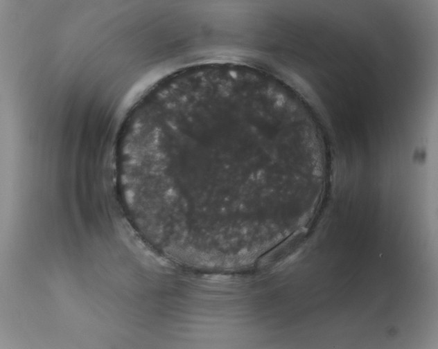 X0000113851172200910151204