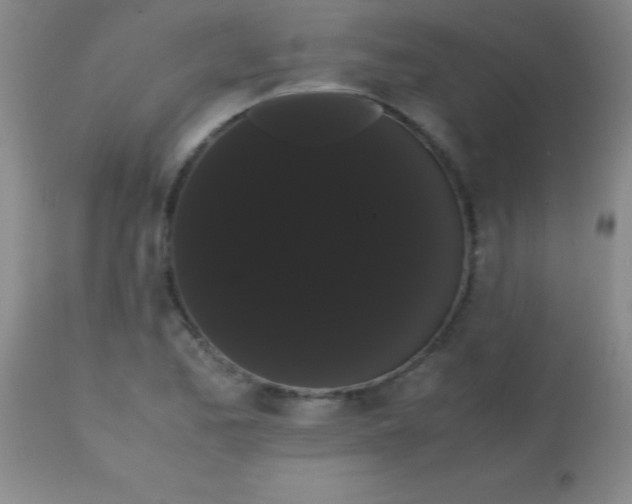 X0000113851173200910151204