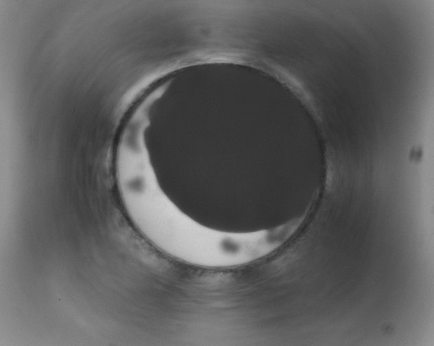 X0000113851174200910151204