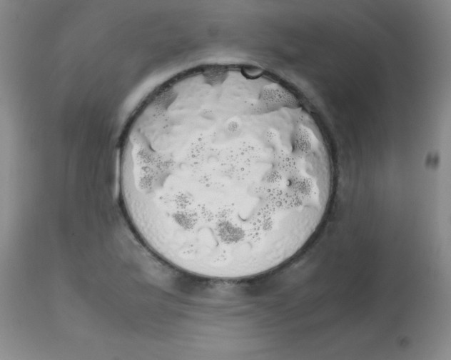 X0000113851175200910151204