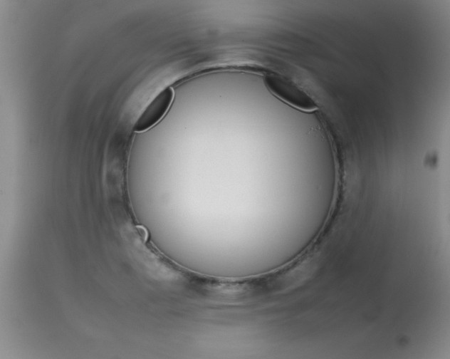 X0000113851177200910151204