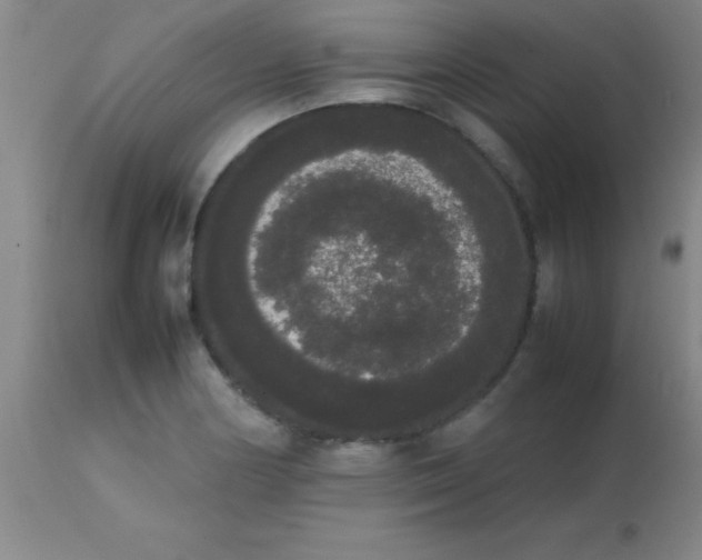 X0000113851178200910151204