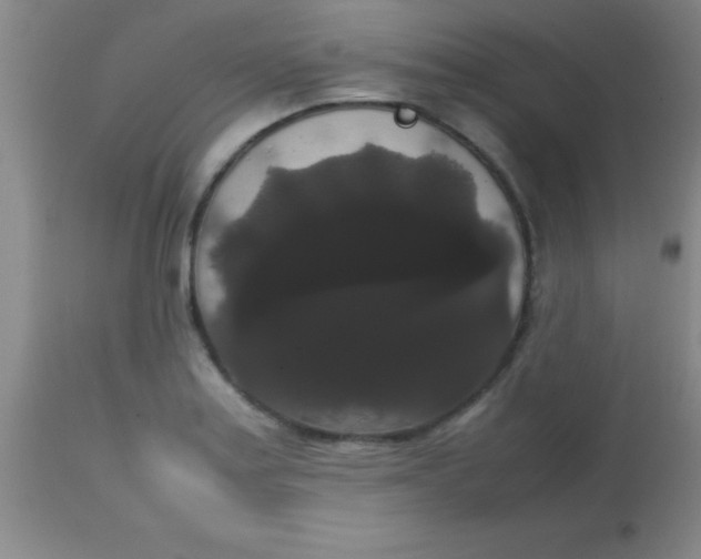 X0000113851179200910151204