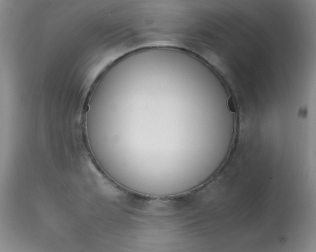 X0000113851181200910151204