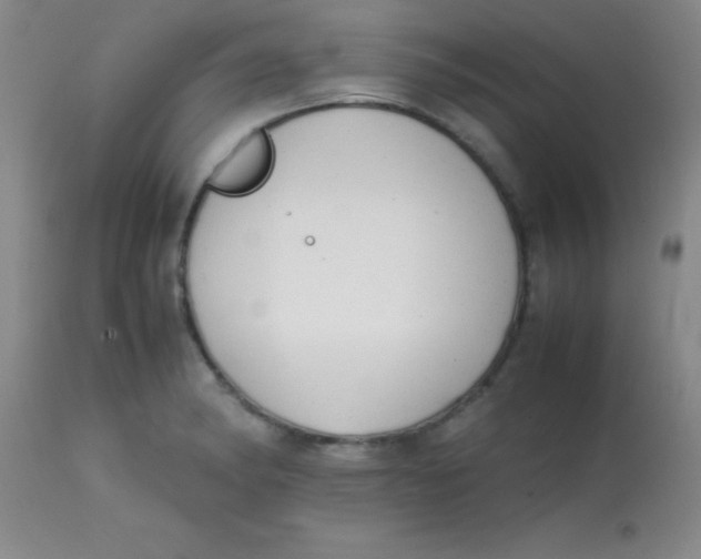 X0000113851182200910151204