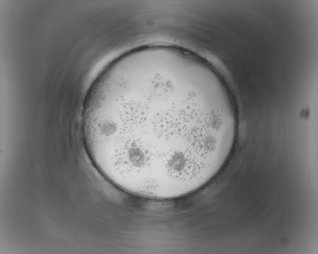 X0000113851183200910151204