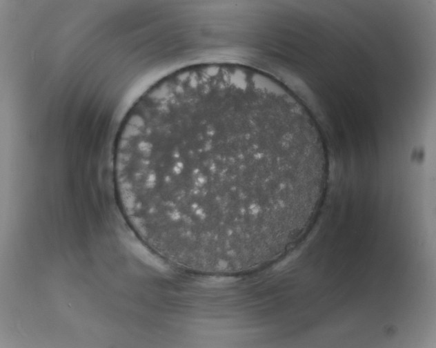 X0000113851184200910151204