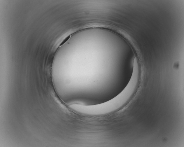 X0000113851185200910151204