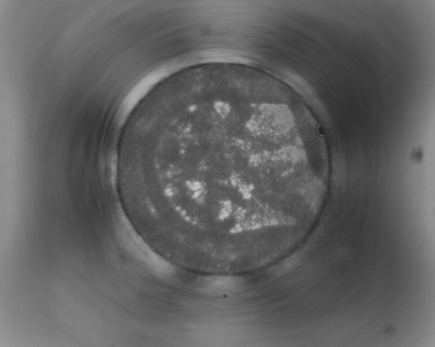 X0000113851188200910151204