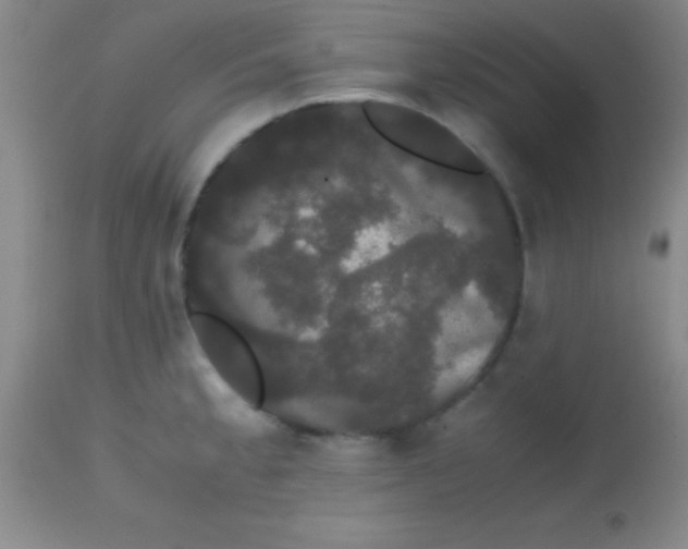 X0000113851189200910151204