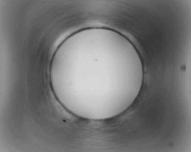 X0000113851191200910151204