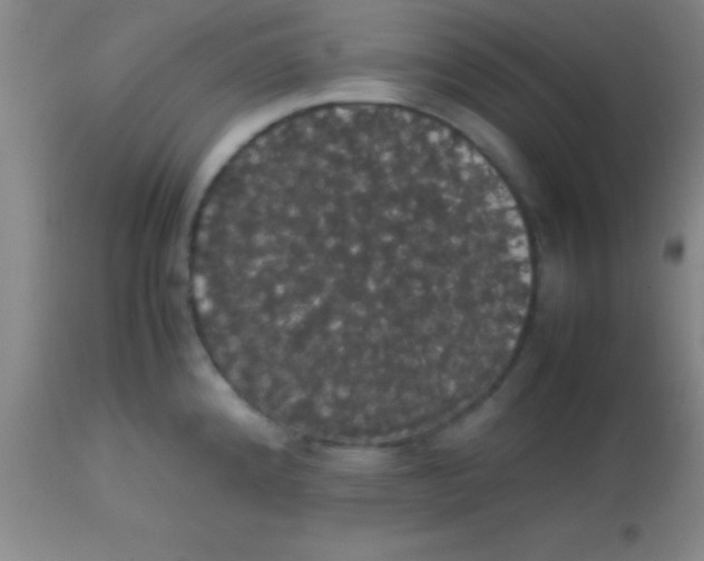 X0000113851192200910151204