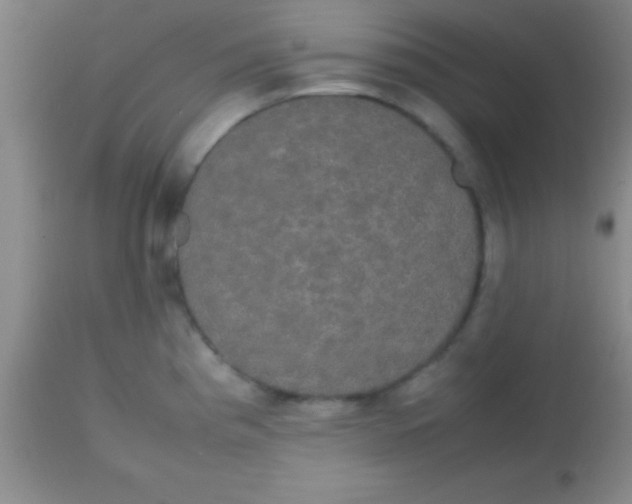 X0000113851193200910151204