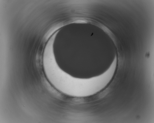 X0000113851194200910151204