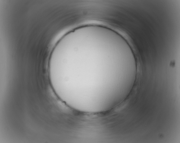 X0000113851199200910151204