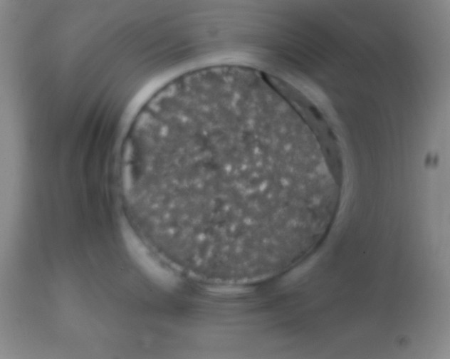 X0000113851200200910151204