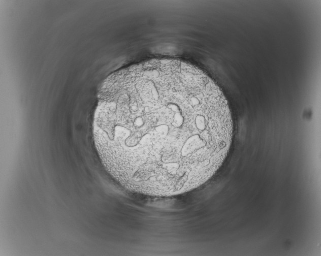 X0000113851201200910151203