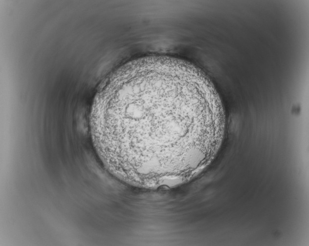 X0000113851202200910151203