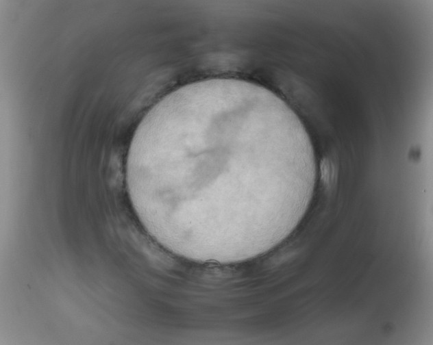 X0000113851203200910151203