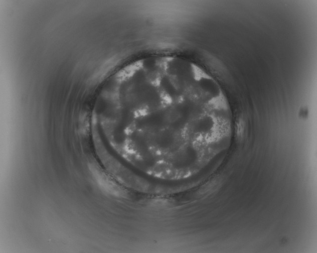 X0000113851204200910151203