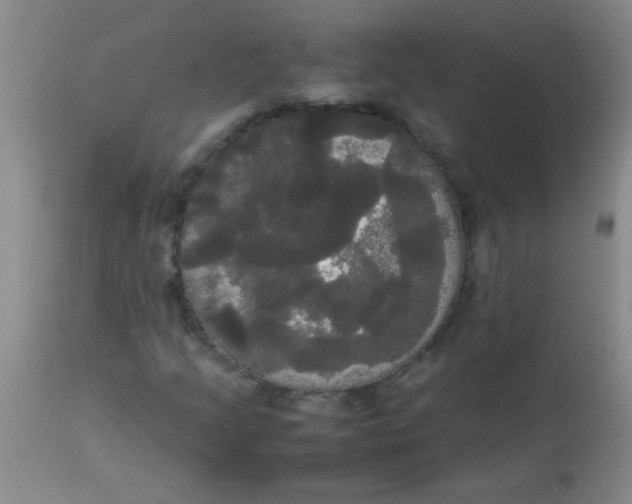 X0000113851205200910151203