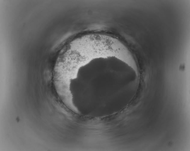 X0000113851206200910151203