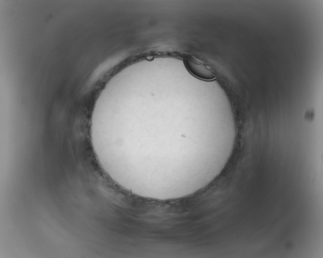 X0000113851207200910151203