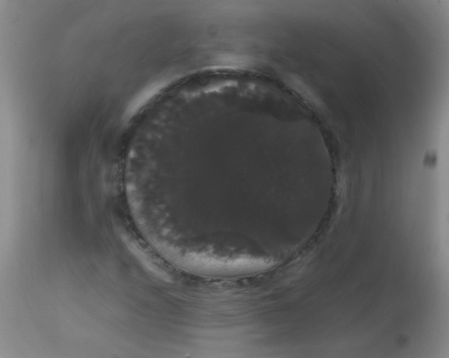 X0000113851208200910151203