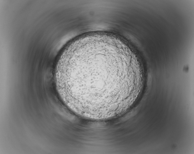 X0000113851210200910151203